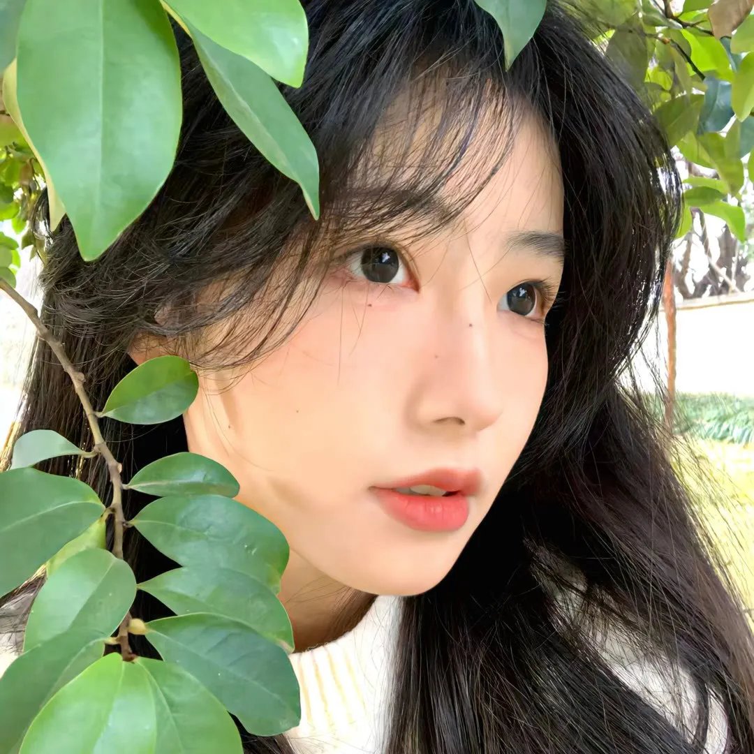 新创世纪